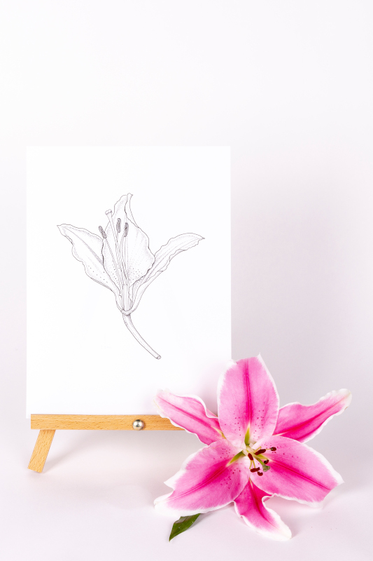 Royal Botanic Gardens, Kew Online Courses