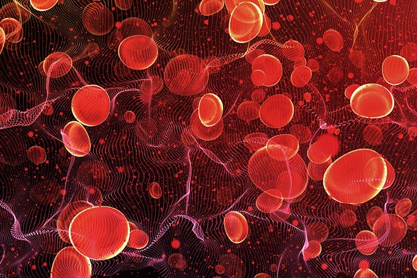 Metronidazole Severe Adverse Effects | Shaanxi Bloom Tech