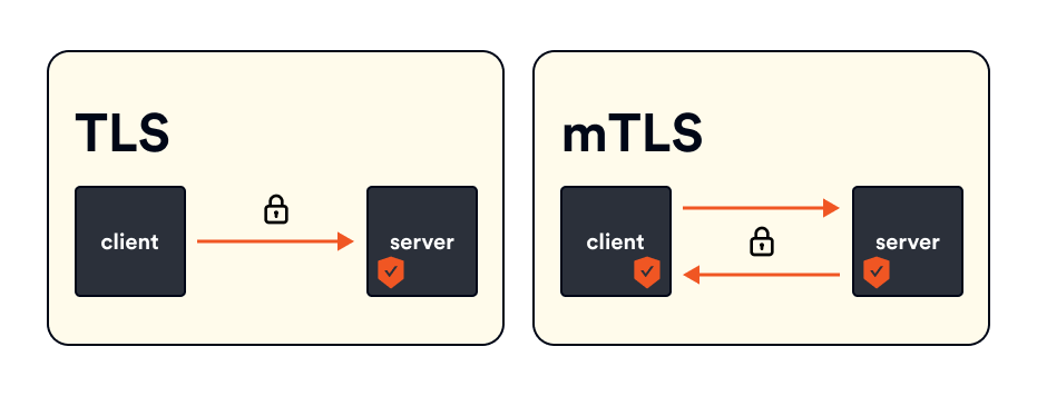 Using mTLS both client and server verify each others’ identities