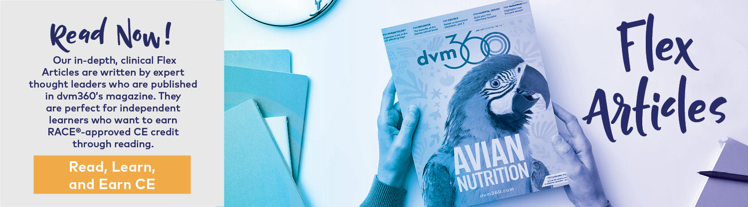 DVM360 CE | Veterinary Continuing Education