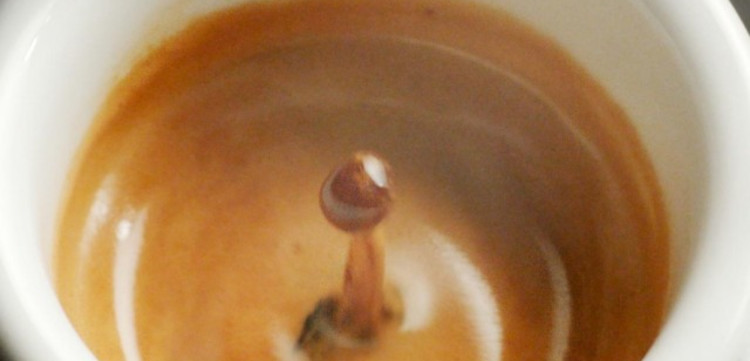 Course Catalog - Franke Coffee Systems