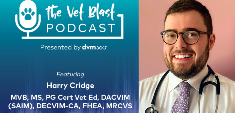 DVM360 CE | Veterinary Continuing Education