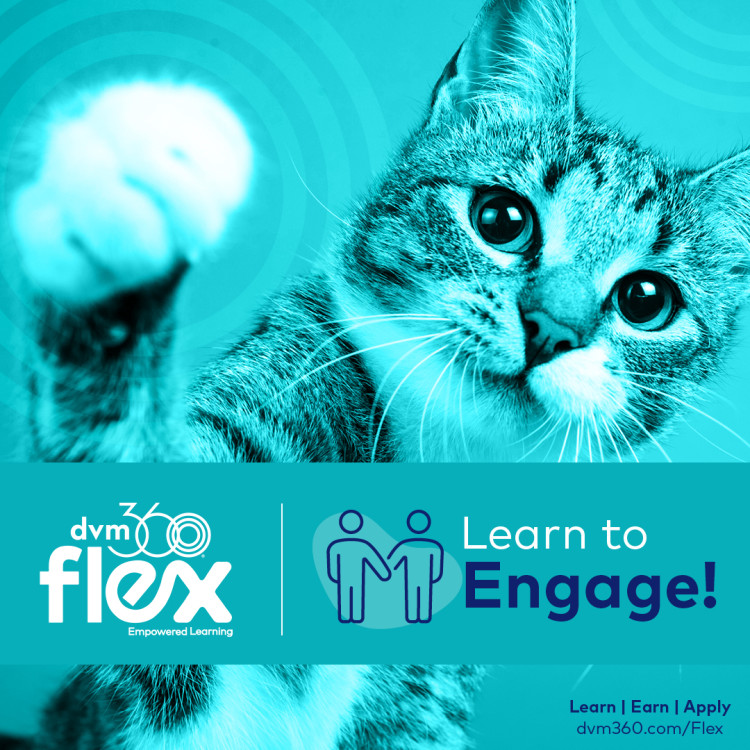 DVM360 CE Veterinary Continuing Education