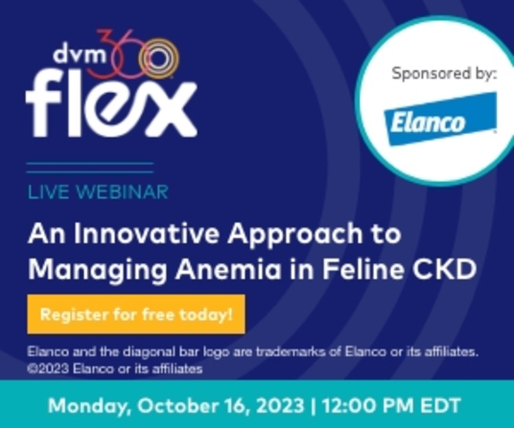 Dvm360 Ce Veterinary Continuing Education