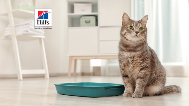Access Hillu0027s Pet Nutrition Product Information and Earn CE