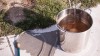 After the boil