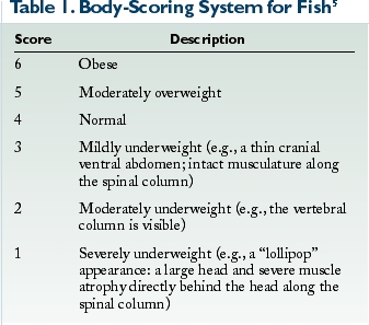 VetFolio