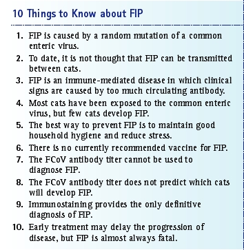 fip differential diagnosis