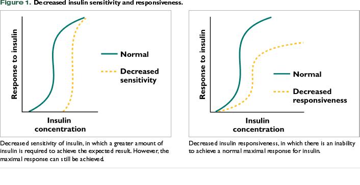 insulin resistance in dogs