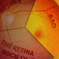The Retina Society Rapid Review