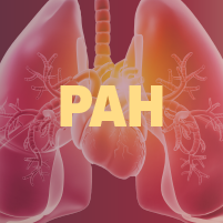 Elevating Care for PAH: Applying Recommended Management Approaches to Maximize Outcomes