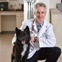 Albert E. Jergens, DVM, PhD, DACVIM, AGA Fellow