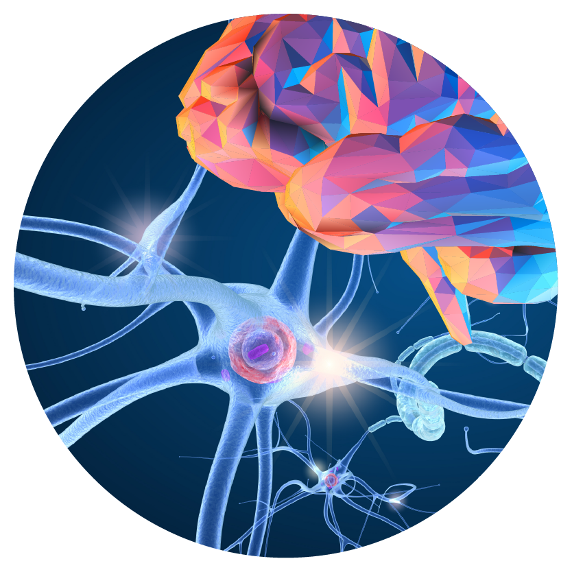 Mastering MS: Translating Evidence into Optimal Management Plans