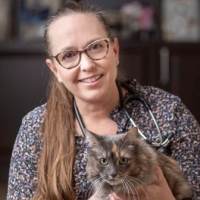 Kelly Ann St. Denis, MSc, DVM, DABVP (feline practice) 