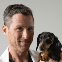 Fred Wininger, VMD, MS, DACVIM (Neurology)