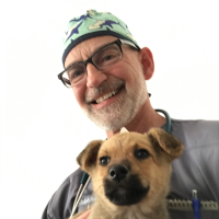 Ralph Harvey, DVM, MS, DACVAA