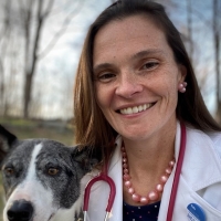 Deborah Linder, DVM, MS, DACVIM