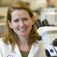 Susan E. Little, DVM, PhD, DACVM-Parasit.