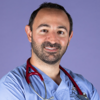 Lionel Sebbag, DVM, PhD, DACVO 