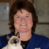 Kara M. Burns, MS, MEd, LVT, VTS (Nutrition)