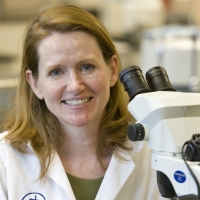 Susan E. Little, DVM, PhD, DACVM (Parasitology)