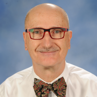 Dennis J. Chew, DVM, DACVIM (SAIM)