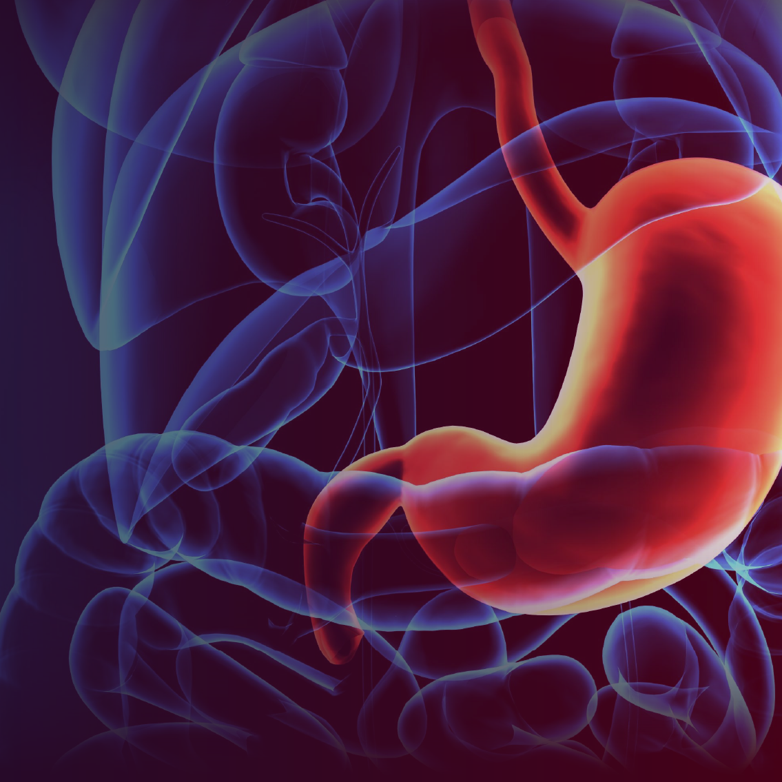 Show Me the Data™: Bridging Clinical Gaps Along the Continuum From Resectable, Early Stage to Advanced Gastric/Gastroesophageal Junction Cancers