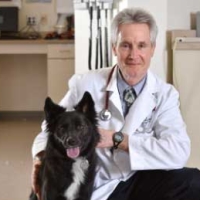 Albert E. Jergens, DVM, PhD, DACVIM, AGA Fellow