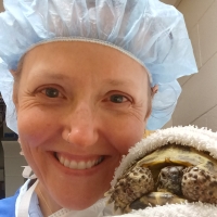 Katrina Lafferty, BFA, RLAT, CVT, VTS (Anestheisa/Analgesia)