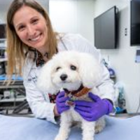 Jenessa A. Winston, DVM, PhD, DACVIM (Small Animal Internal Medicine)