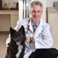 Albert E. Jergens, DVM, PhD, DACVIM, AGA Fellow