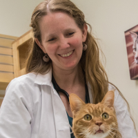Jessica Mae Quimby, DVM, PhD 