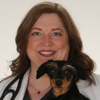Jennifer Mathis, DVM, DAVDC, CVPP