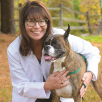 Renée Alsarraf, DVM, DACVIM