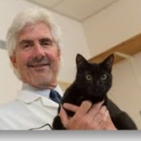 Michael R. Lappin, DVM, PhD, DACVIM