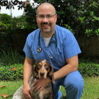 Ewan D. S. Wolff, PhD, DVM, DACVIM (SAIM)