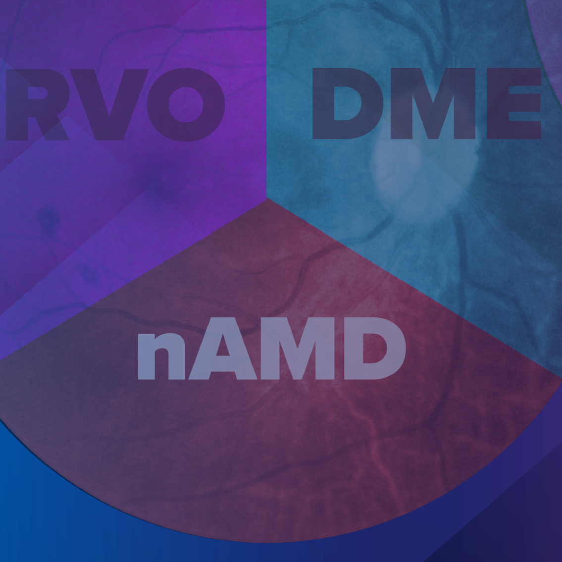 Bridging the Gap: Enhancing Optometric Recognition and Referral for Retinal Vascular Diseases in the Era of Advanced Therapies