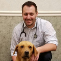 Michael A. Rossi, DVM, MNS, Dip. ACVD