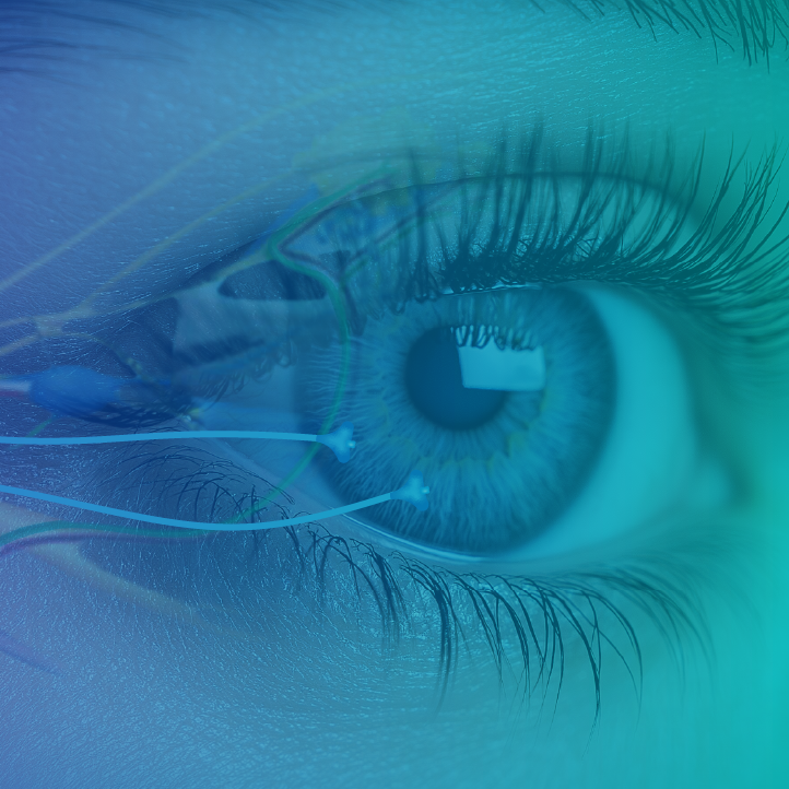 The Neural Network: Exploring the Role of Neuromodulation in Dry Eye Disease Management