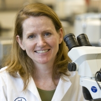Susan E. Little, DVM, PhD, DACVM-Parasit.