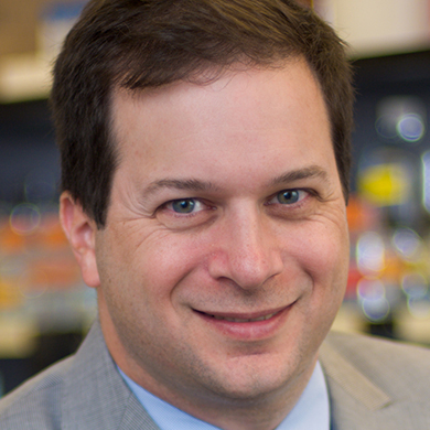 Andrew J. Wagner, MD, PhD