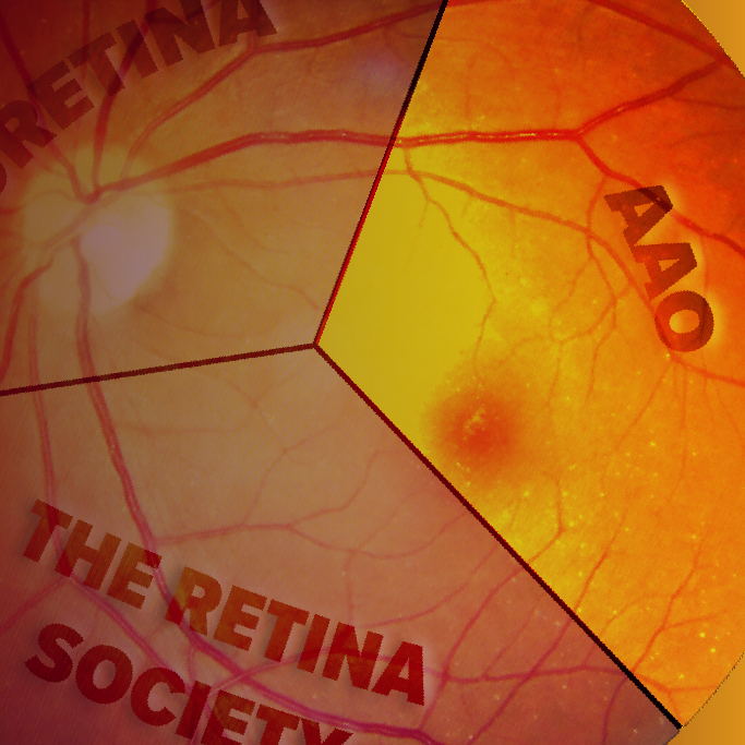 AAO Rapid Review Plus Insights on Recent Clinical Data
