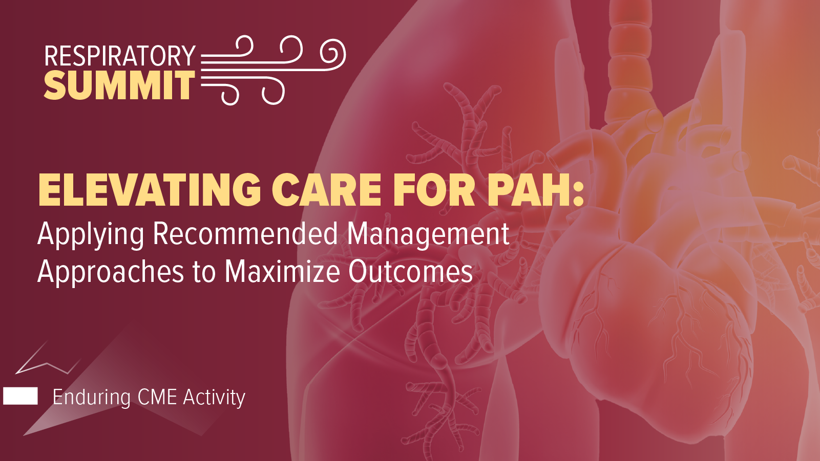 Elevating Care for PAH: Applying Recommended Management Approaches to Maximize Outcomes