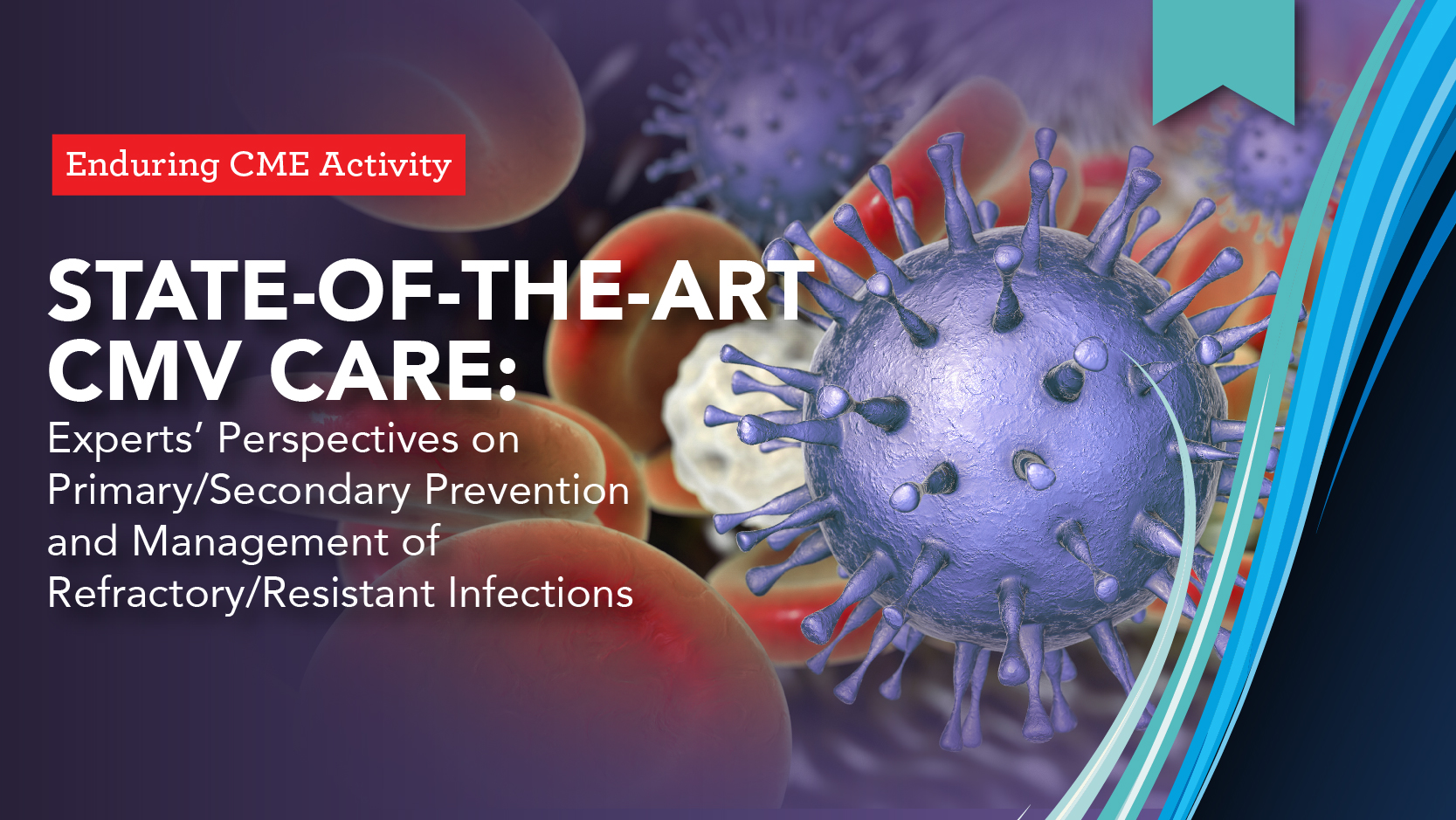 State-of-the-Art CMV Care: Experts’ Perspectives on Primary/Secondary Prevention and Management of Refractory/Resistant Infections