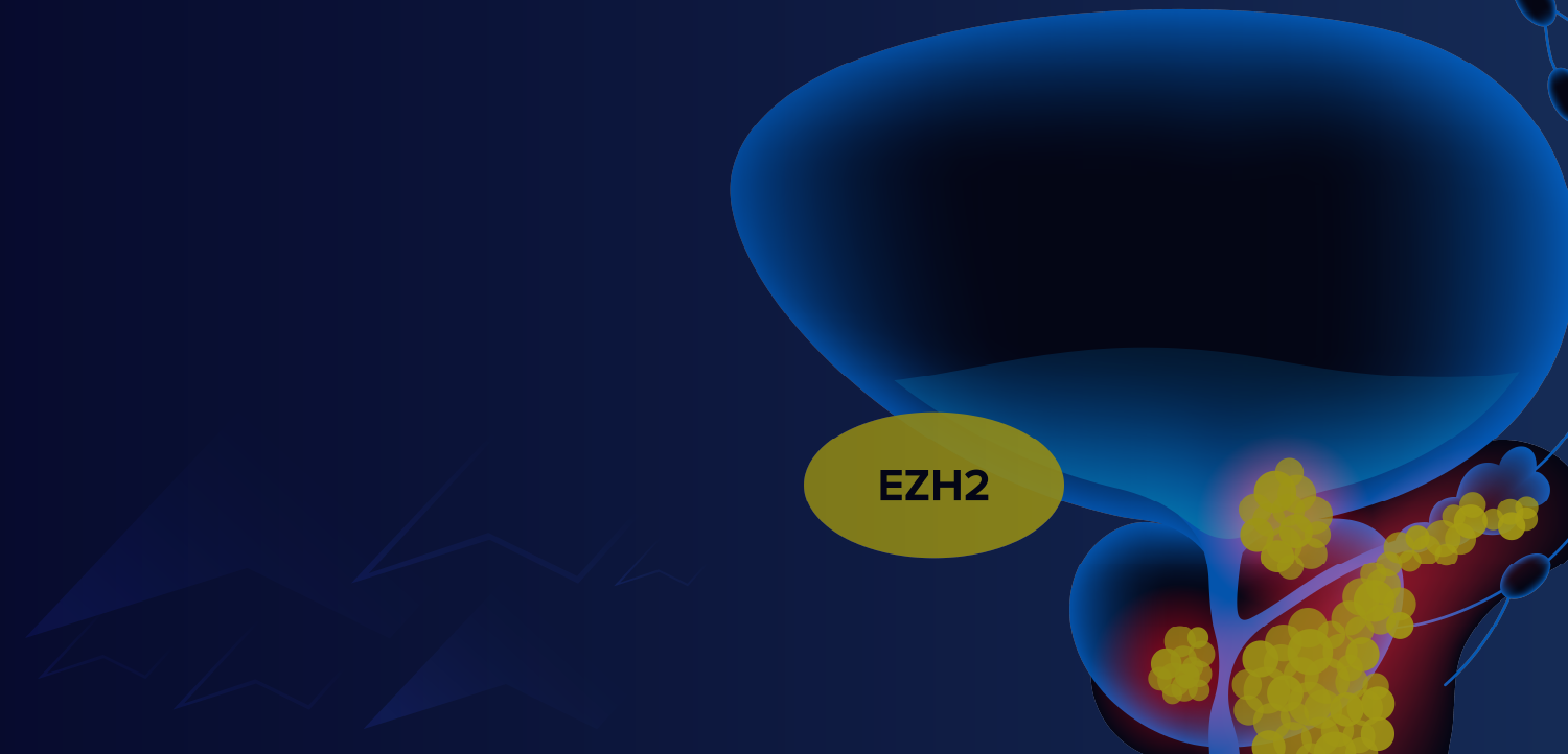 Optimizing Today and Looking to Tomorrow in Metastatic CRPC—Homing in on EZH2