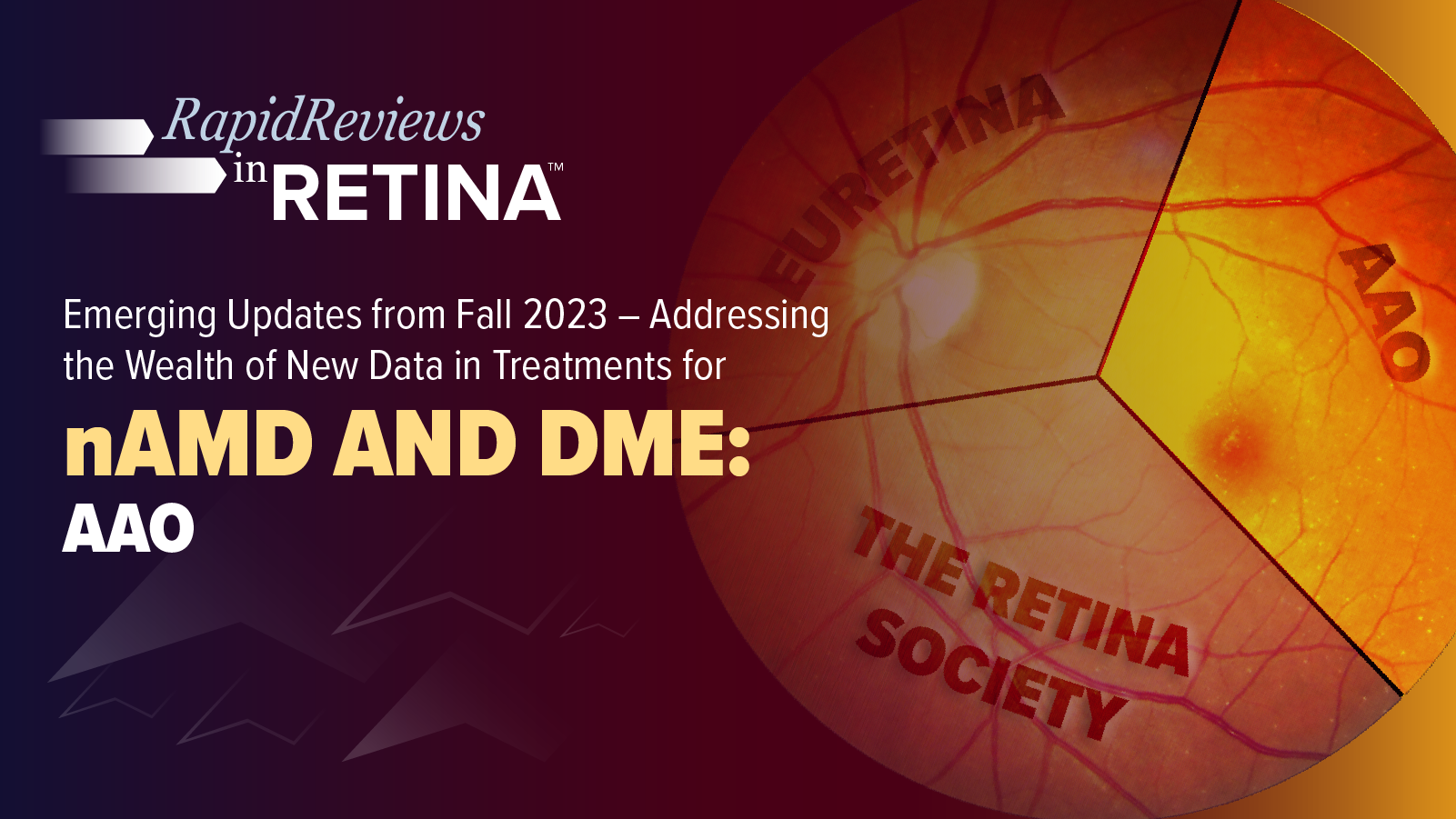 Rapid Reviews in Retina™: Emerging Updates from Fall 2023 – Addressing the Wealth of New Data in Treatments for nAMD and DME; AAO