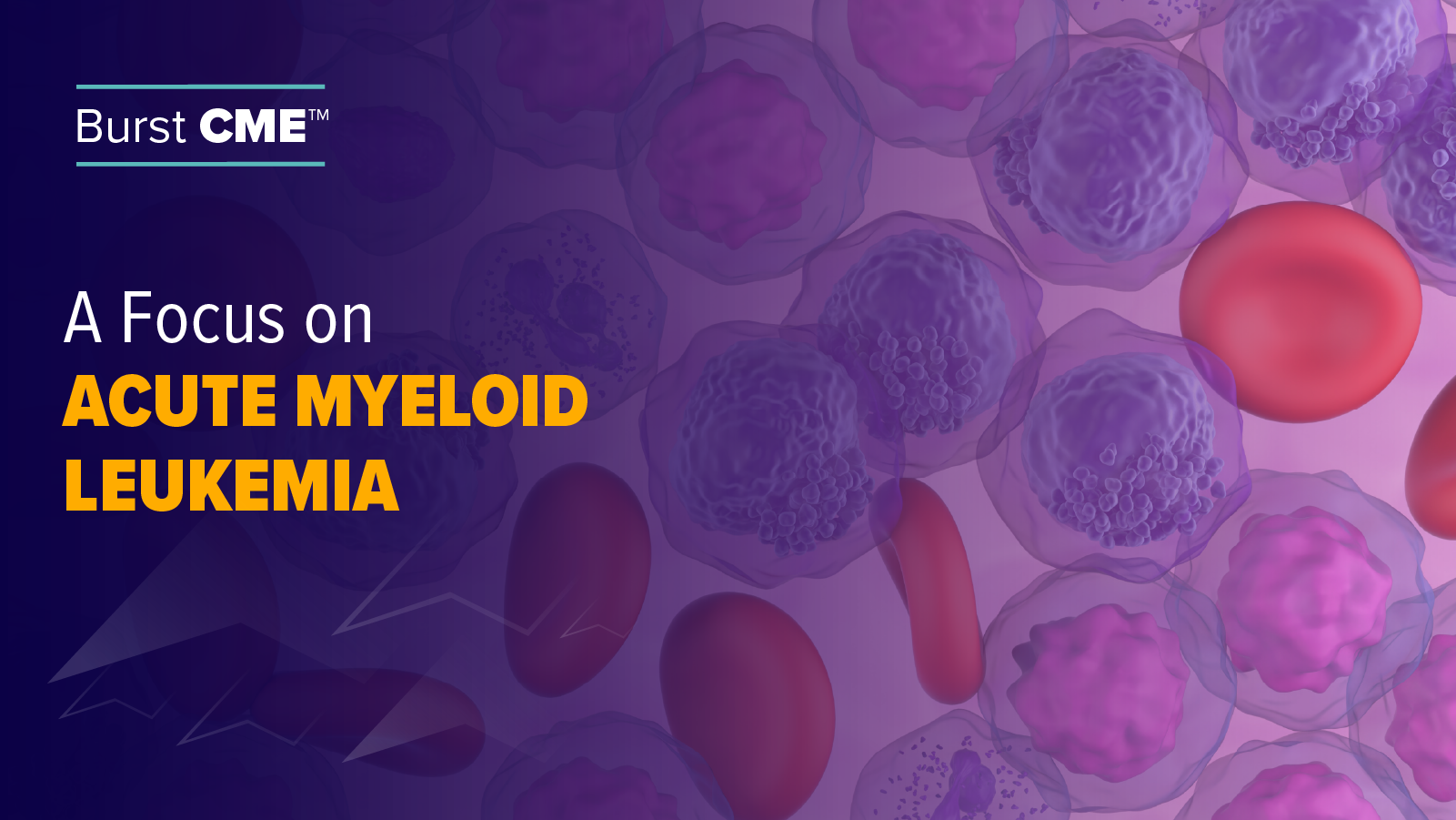 A Focus on Acute Myeloid Leukemia