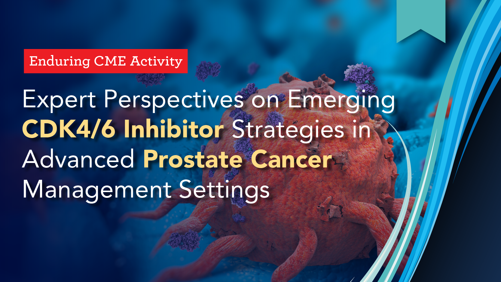 Expert Perspectives on Emerging CDK4/6 Inhibitor Strategies in Advanced Prostate Cancer Management Settings