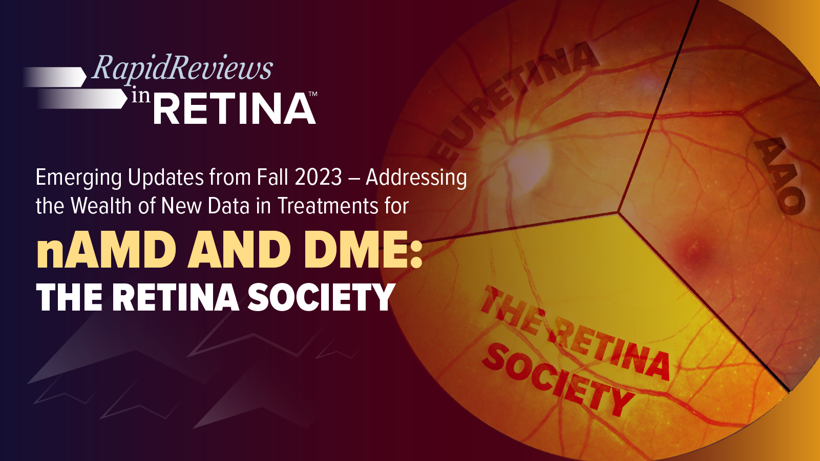 Rapid Reviews in Retina™: Emerging Updates from Fall 2023 – Addressing the Wealth of New Data in Treatments for nAMD and DME; Retina Society