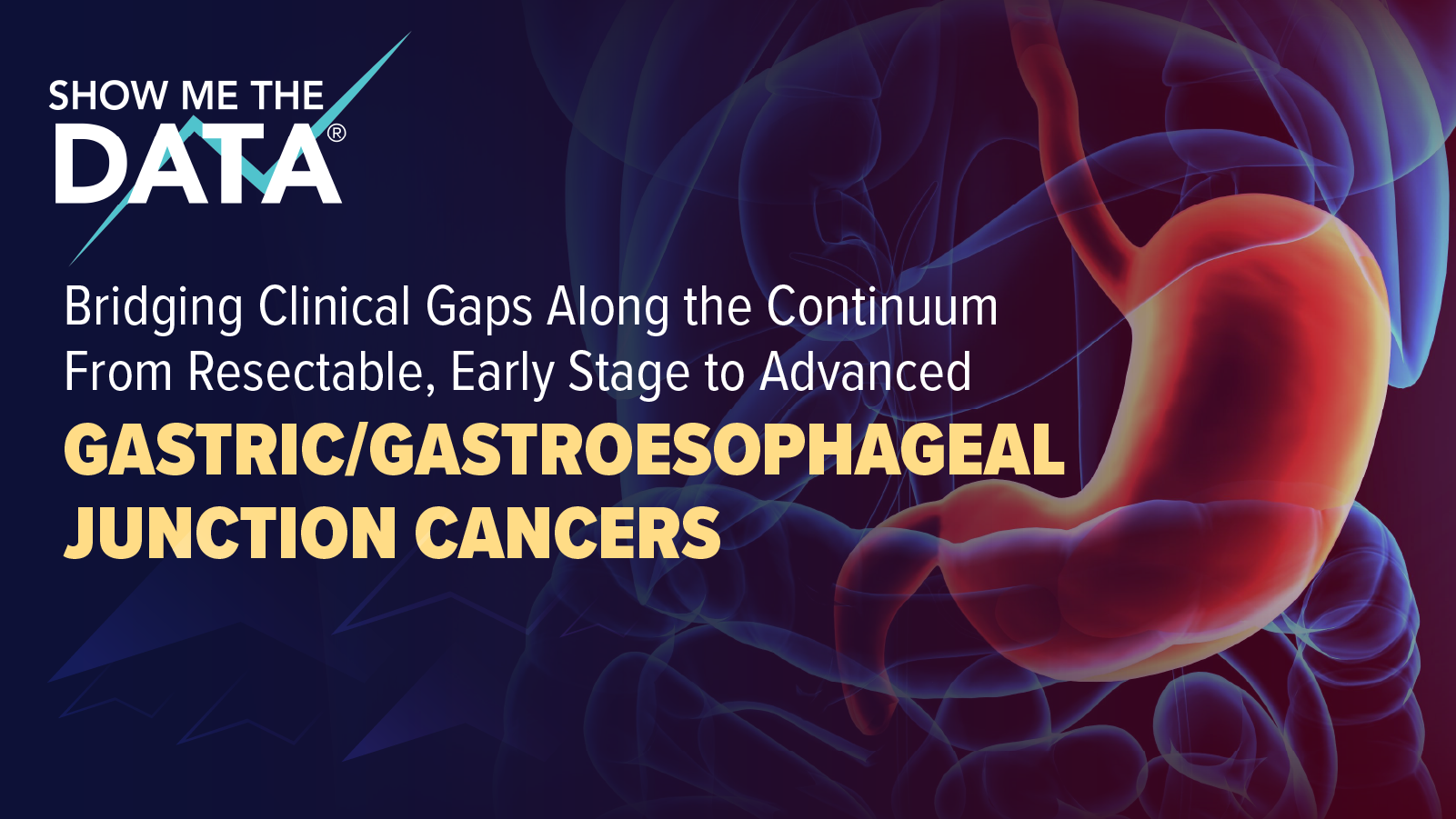 Show Me the Data™: Bridging Clinical Gaps Along the Continuum From Resectable, Early Stage to Advanced Gastric/Gastroesophageal Junction Cancers